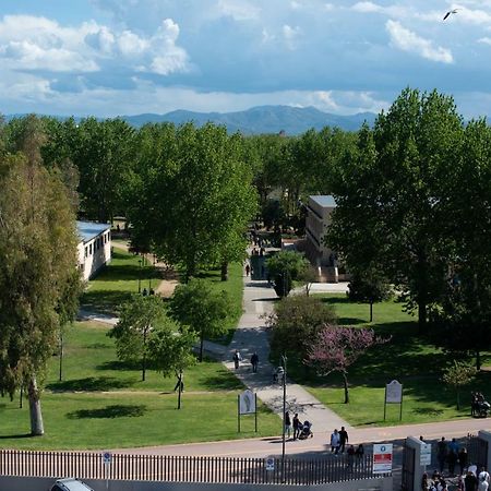 Boutique Apartment Vista Sul Parco Olbia Esterno foto